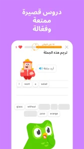 Duolingo مهكر 3