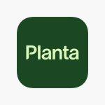 Planta