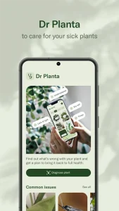 Planta مهكر 4